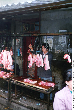 hanging_meat
